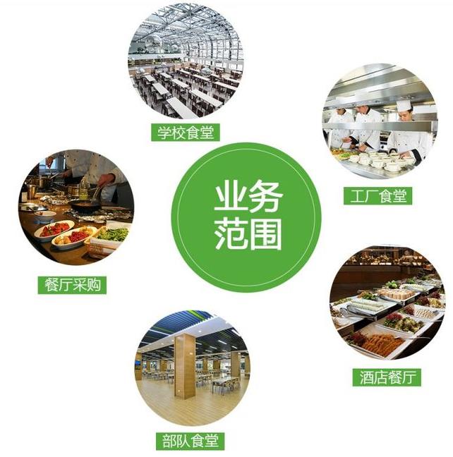 从田间到餐桌 探访沙井蔬菜配送公司的全产业链模式