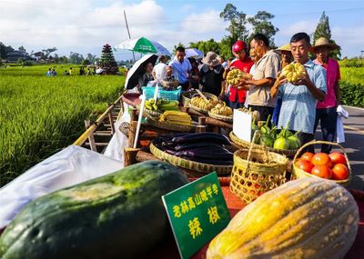 梁平柚、葛根粉、老荫茶&hellip;梁平特色农产品即将开启北京圈粉模式!